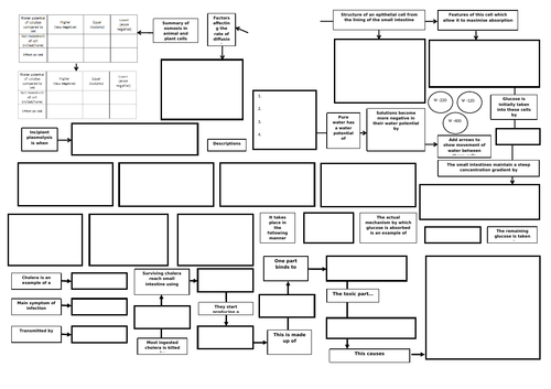 A level Biology concept maps: Cells and transport