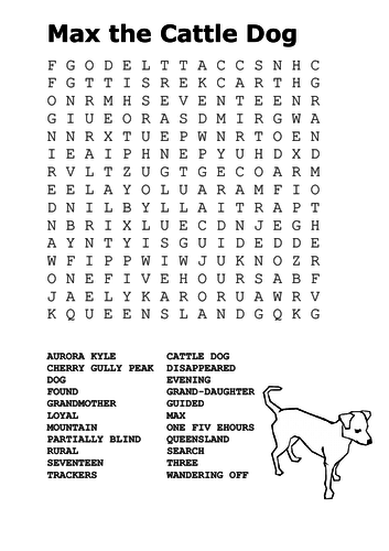 Max the Hero Dog Word Search | Teaching Resources