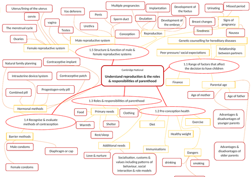 Cambridge National Child Development RO18 LO1 revision mind map