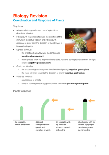 EDEXCEL Coordination and response in plants  notes for IGCSE Biology