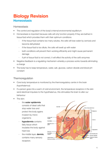 EDEXCEL IGCSE Biology - Homeostasis notes