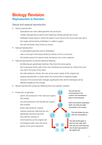 Edexcel Igcse Biology Reproduction In Humans Notes Teaching Resources 5501