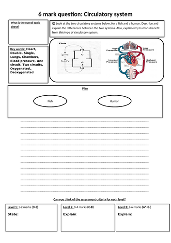 Circulatory/ cardiovascular system system  6 mark questions & presentations for OCR gateway/ IGCSE