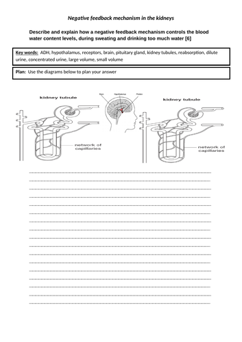 Kidneys resource bundle for OCR Gateway (9-1) and IGCSE!