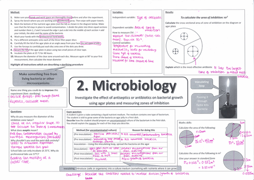 Microscopy and microbiology required practical revision 9-1 AQA