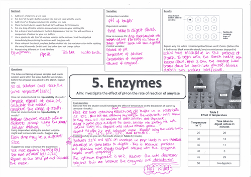 Organisation Biology requires practical revision 9-1 AQA
