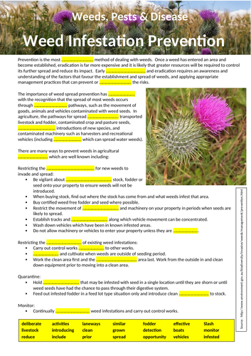 Weeds, Pests and Disease - 3 Cloze Activities