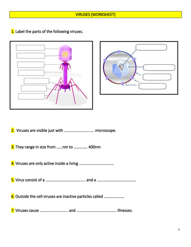 virus diagram worksheet