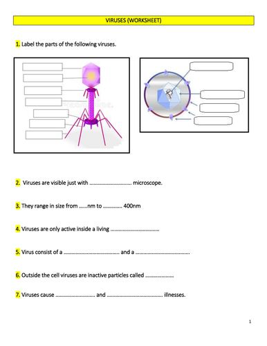 Virus (Worksheet)