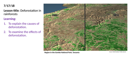 Deforestation in tropical rainforests