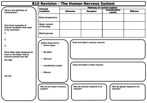 AQA Biology (9-1) B10-17 Paper 2 Revision Sheets