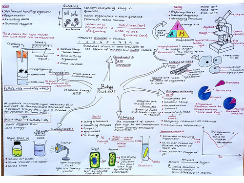 Edexcel Core Practicals Mindmap