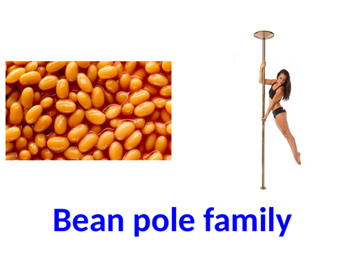 GCSE/A Level key term revision game of 'dingbats'