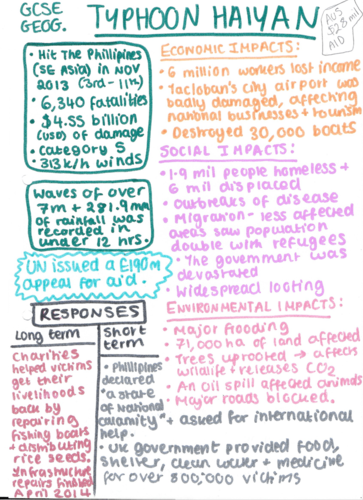 Environmental impacts of typhoon haiyan image