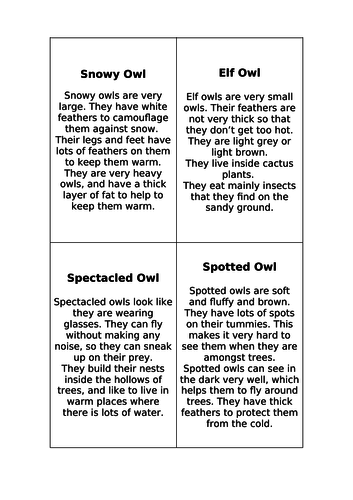 Information about different types of owl