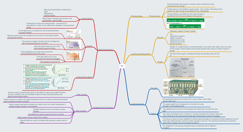 AQA 9-1 Biology B2 Revision MindMap