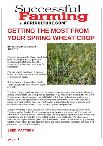 Ezine article - Getting the most from your spring wheat crop
