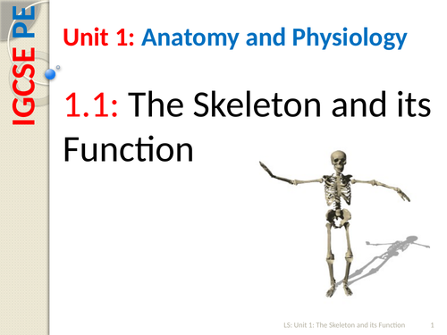 IGCSE PE (spec 2018) 1.1. The Skeleton and its Function