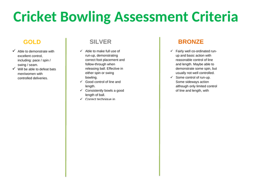 Cricket Bowling Assessment