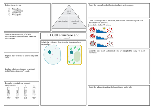 AQA Cell structure and transport revision mat
