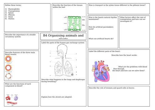 AQA Organising animals and plants