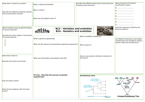 AQA Variation, evolution and genetics revision mat