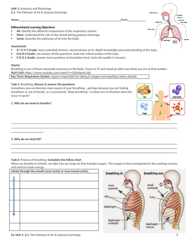 IGCSE PE (new spec 2018) 2.1. The Pathway of Air & Gaseous Exchange