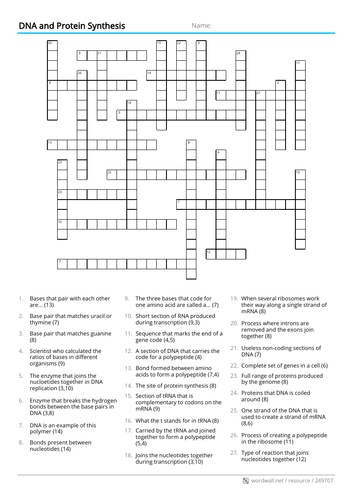 AS/A-Level DNA and Protein Synthesis Crossword