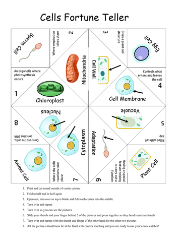 Cells Fortune Teller- Revision