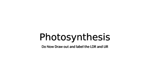 Photosynthesis