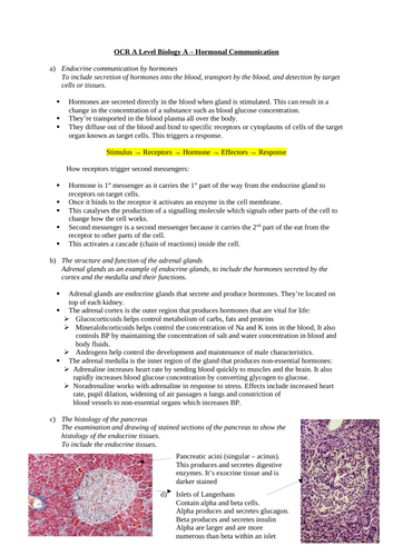 OCR A Level Biology H420 - Hormonal Communication Revision Notes