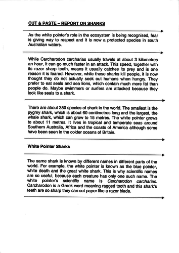 Cut & Paste Activity - Report on Sharks