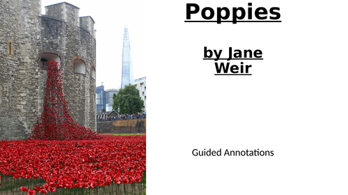 Poppies -Guided Annotations