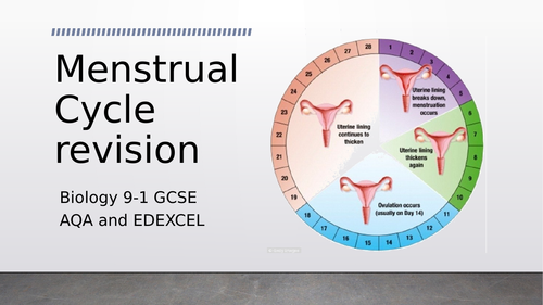 Biology Menstrual Cycle Revision for AQA and EDEXCEL + practise questions