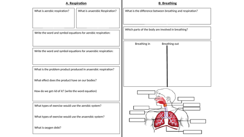 Respiration placemat