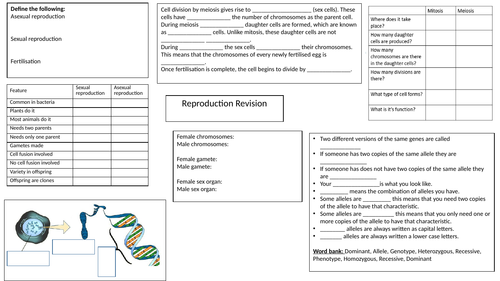 AQA Trilogy Reproduction Foundation Revision mat