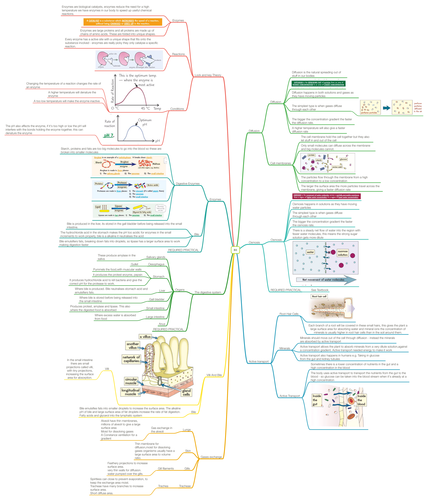 AQA 9-1 Biology B3 Revision MindMap