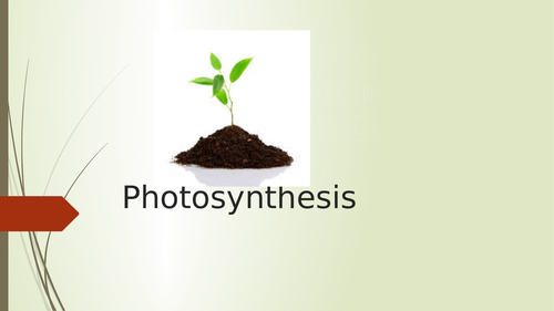 Photosynthesis