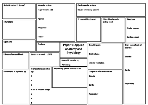 A3  revision worksheet for all topics  OCR GCSE PE