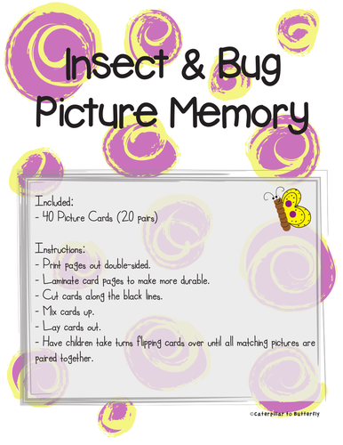 Insect Bug Picture Memory