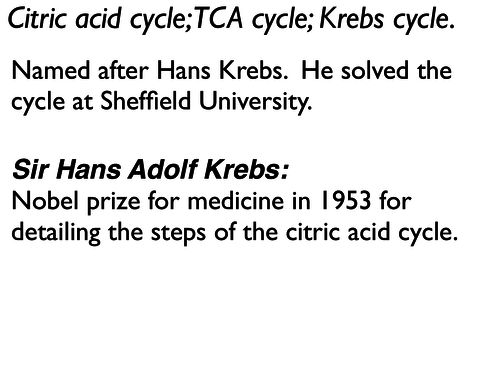 Krebs_cycle_resource_exercise_pack