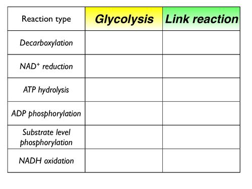 Glycolysis_3_exercises