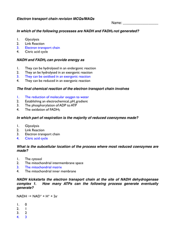 Electron_Transport_Chain_respiration