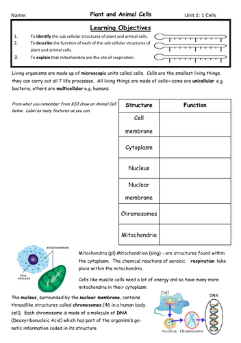 CCEA GCSE Biology Unit 1 Notes