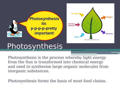 A2 Photosynthesis