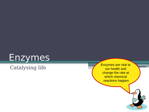AS Enzymes