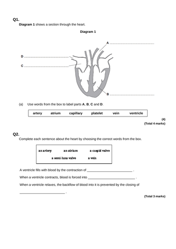 Aqa Gcse B4 Organising Animals And Plants Selection Of Exam Questions Teaching Resources