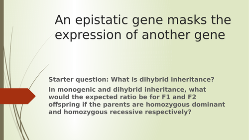 Epistatis OCR A Level Year 2 lesson power point