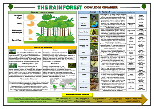 Rainforests KS2 Knowledge Organiser! by TandLGuru | Teaching Resources