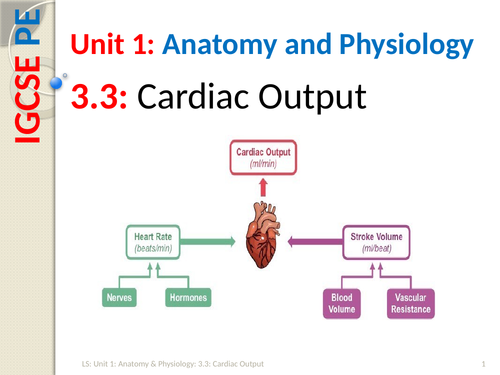 IGCSE PE (spec 2018) 3.3: Cardiac Output